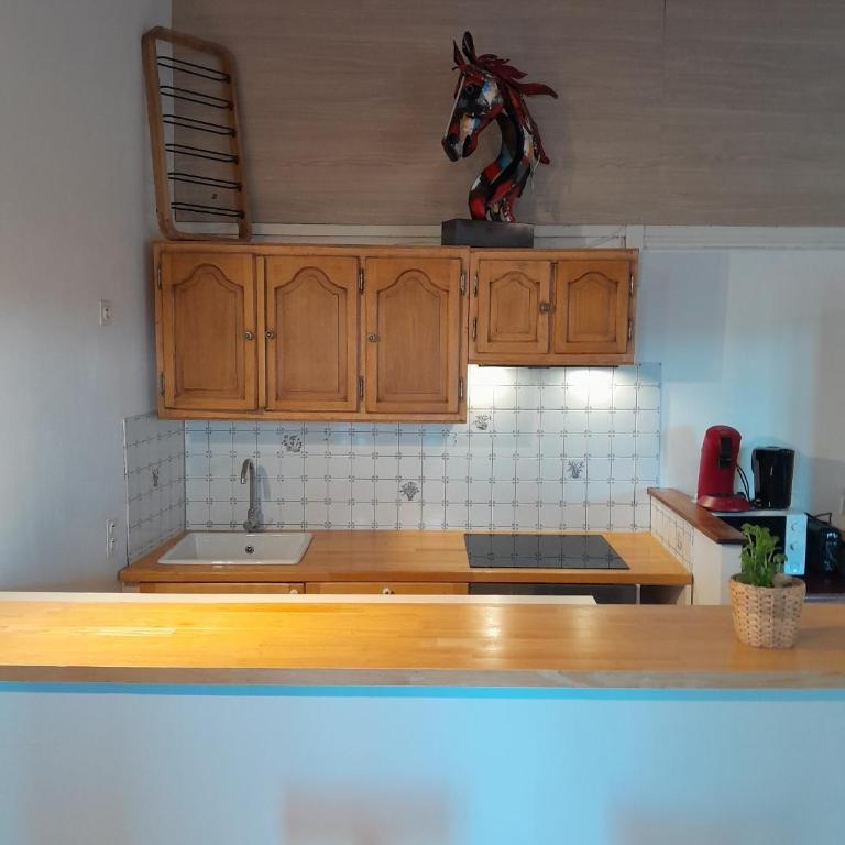Flamants 1 5 personnes - One-Bedroom Apartment - 33