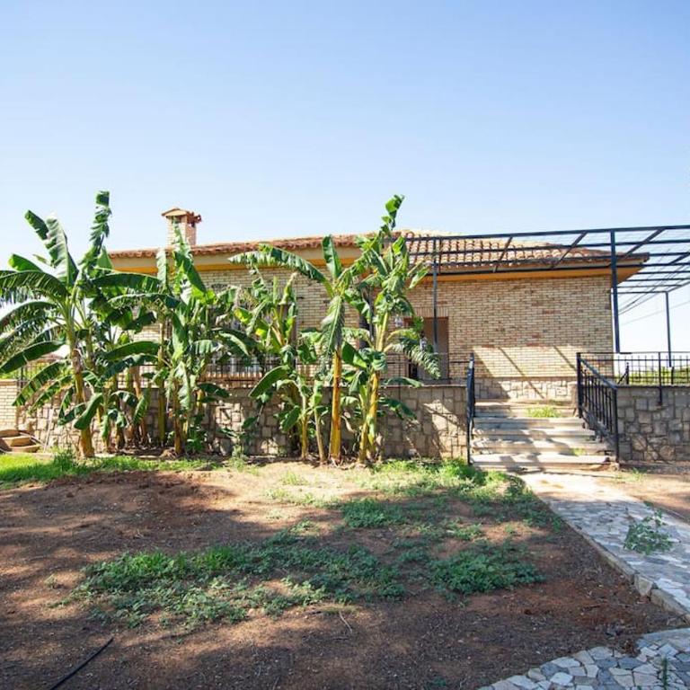 Villa Azahar - Piscina - Barbacoa - Naturaleza - Villa - 40