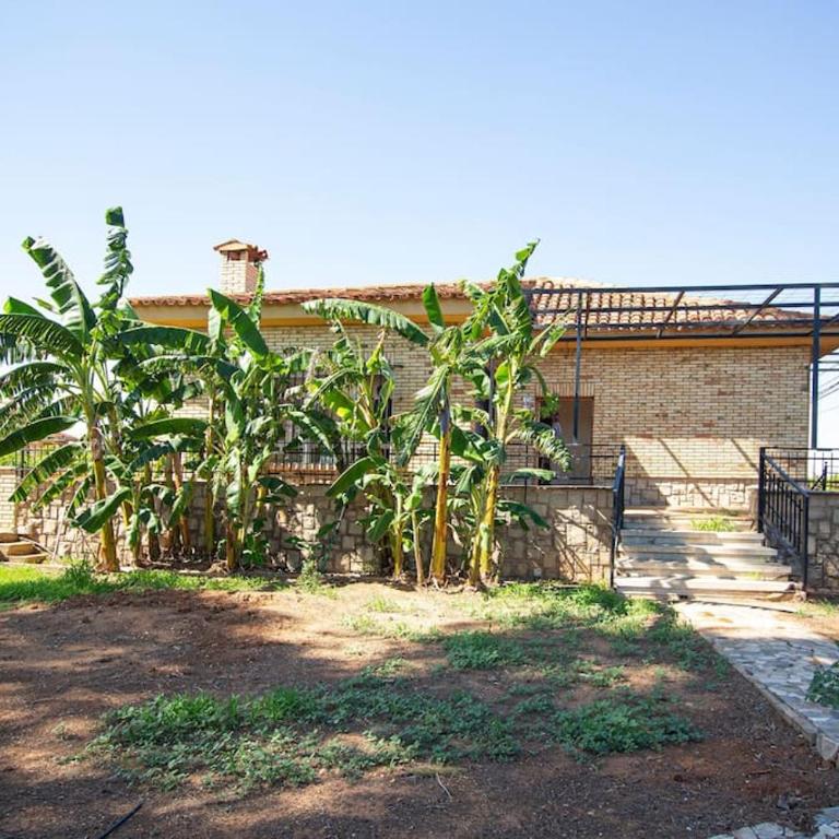 Villa Azahar - Piscina - Barbacoa - Naturaleza - Villa - 79