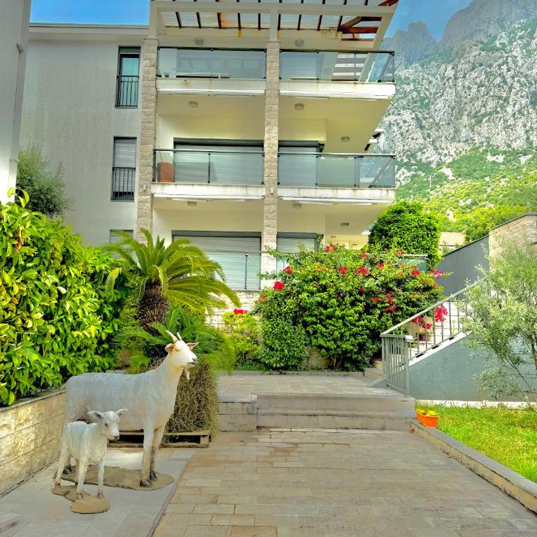 Orahovac sunny port - Apartman sa 2 Spavaće Sobe - 26