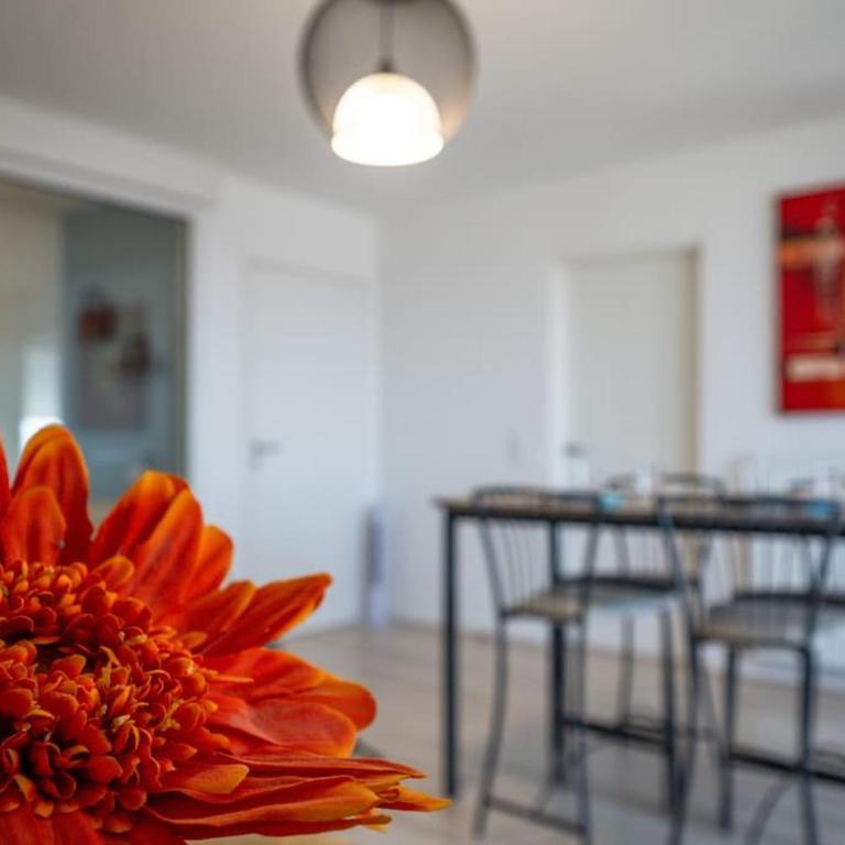 Le Lilas - 2 chambres - parking - Appartamento con 2 Camere da Letto - 6
