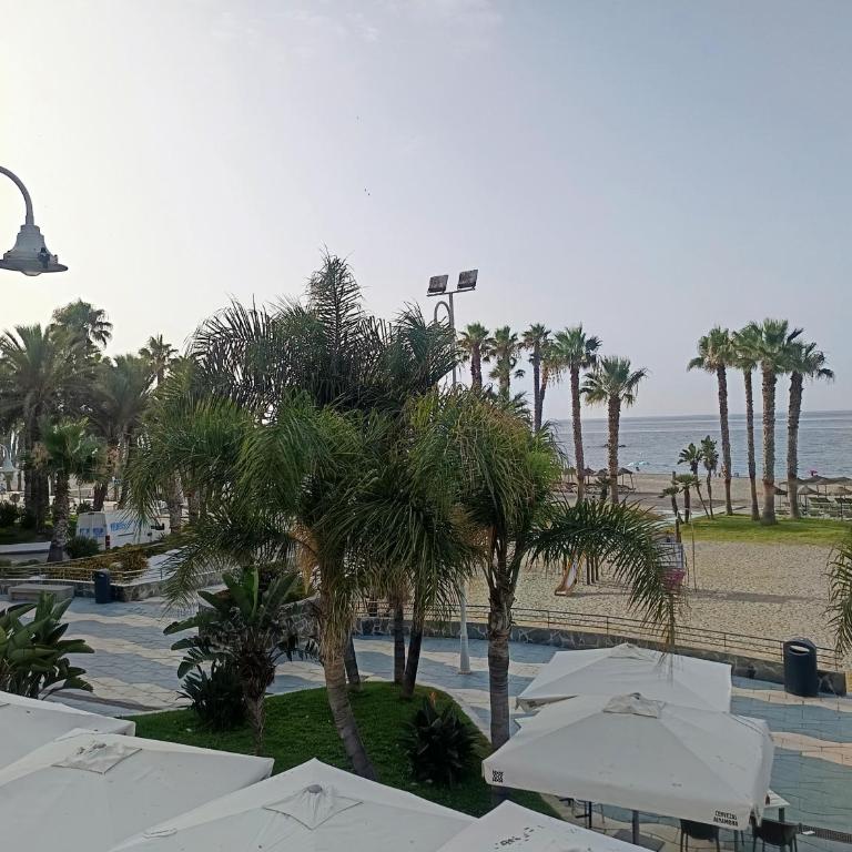 Delfin Home - Apartamento de 2 dormitorios - 41