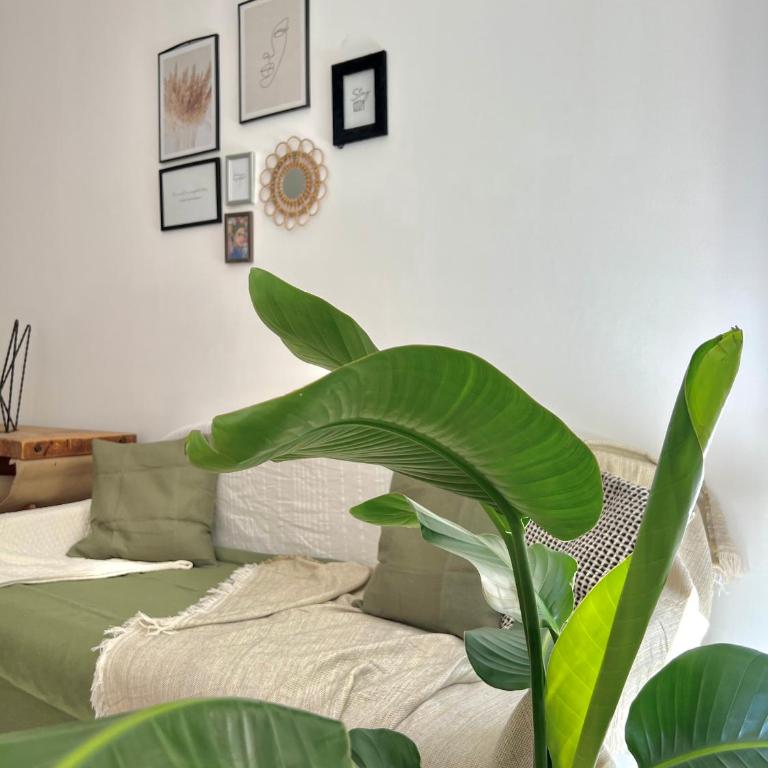Cosy Appartement - Apartment mit 1 Schlafzimmer - 9