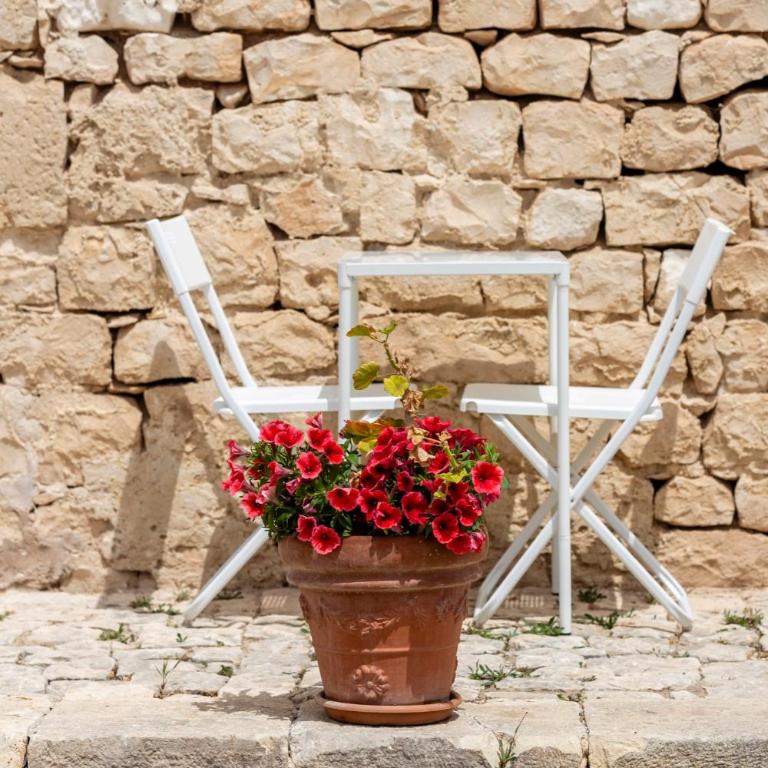 Case Mediterranee - Casa Vacanze - 2