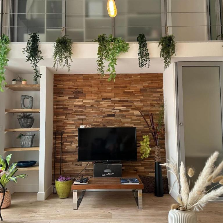 Spacious duplex near the city center of Cannes - Apartamento - 3