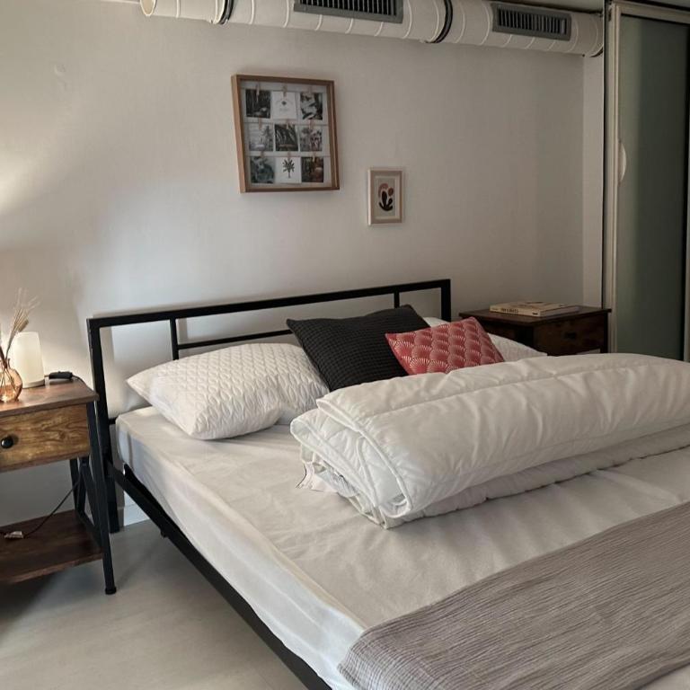 Spacious duplex near the city center of Cannes - Apartamento - 22