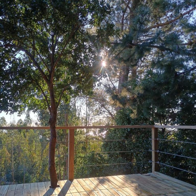 Alto Curanipe - One-Bedroom House - 2