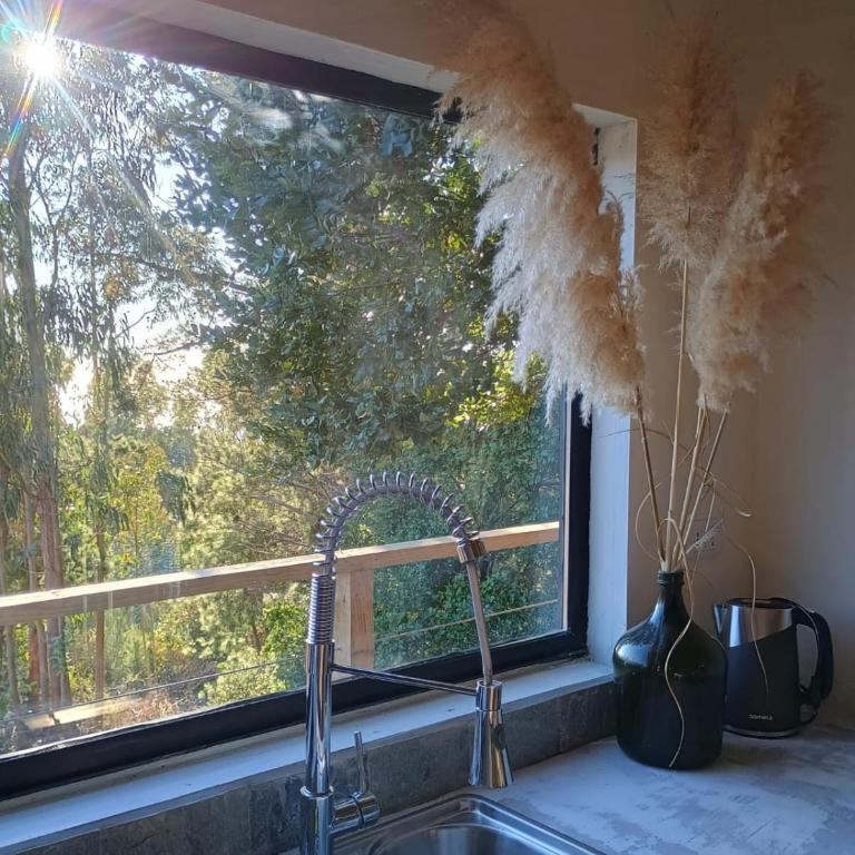 Alto Curanipe - One-Bedroom House - 12