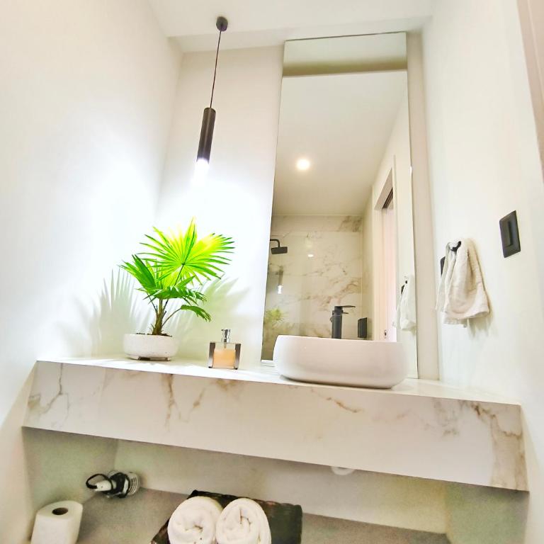 Republica del Salvador Coliving Ecuador XOE - Estudio Estándar - 4