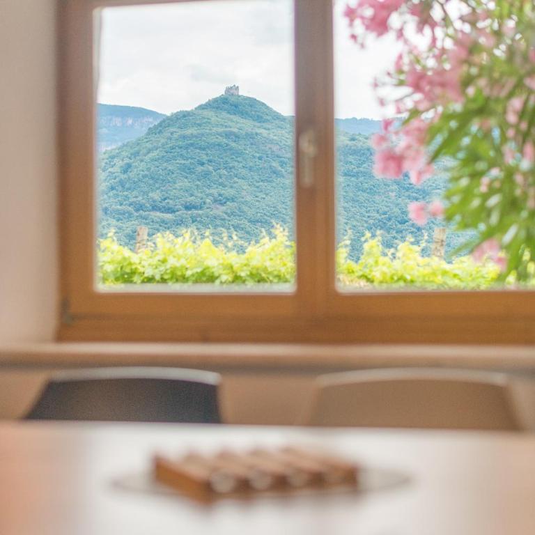 Weinhof am See - Appartamento con Vista Lago - 5