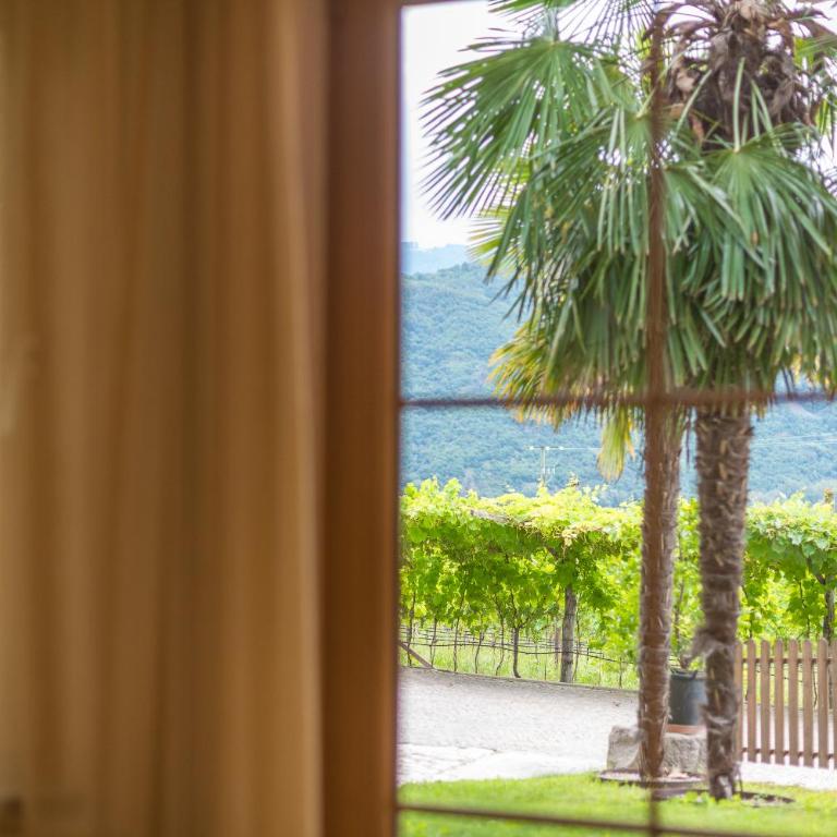 Weinhof am See - Appartamento con Vista Lago - 8