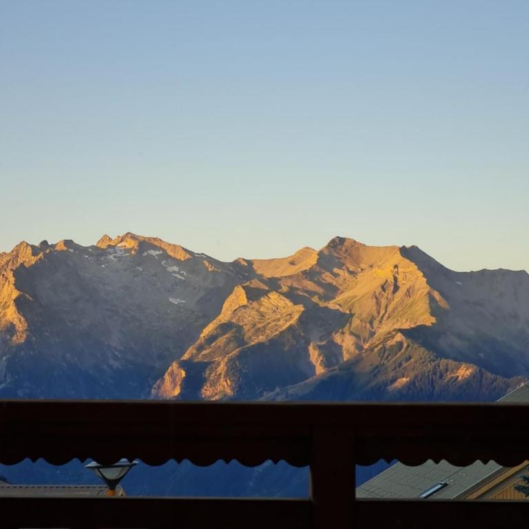 Studio Vieil Alpe avec vue et garage privé - Appartement 1 Chambre - 14