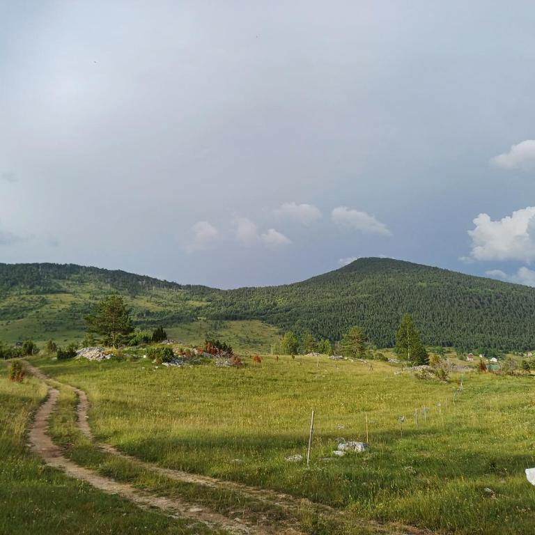 Mountain Oasis - Vacation Home - 14