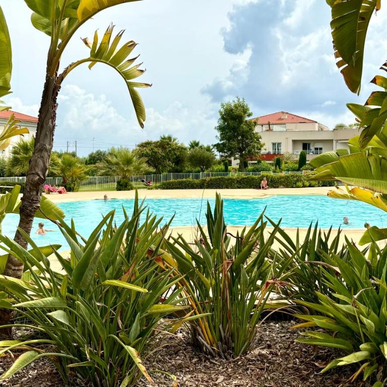 Beachside Apartment with Pool & Garden in Juan les Pins - Appartamento con 1 Camera da Letto - 1