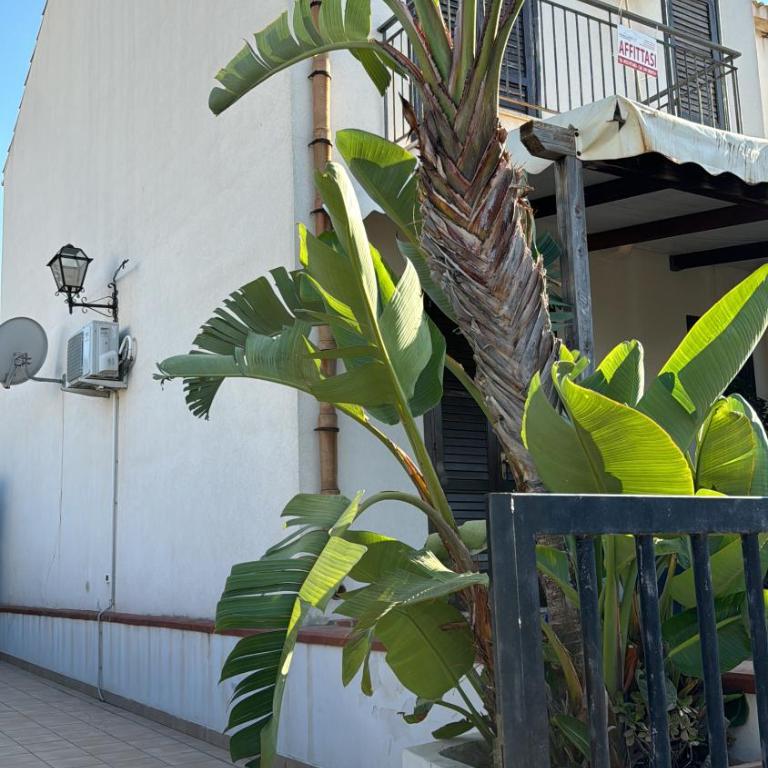 Villa a San Vito lo Capo Minaudo - Casa Vacanze - 19