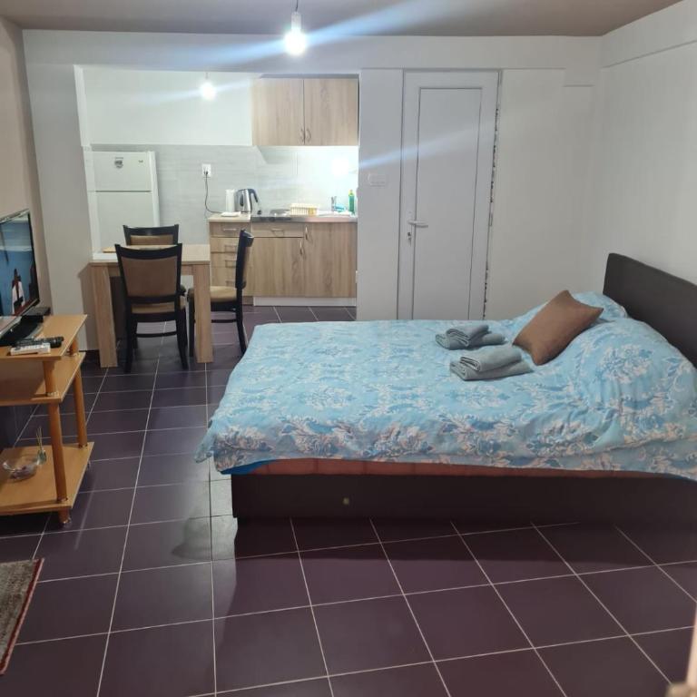 Apartmani Mihajlović - Studio Apartment - 2