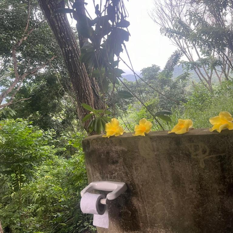El Mirador y el Nido - Casa Vacacional de 3 dormitorios - 33