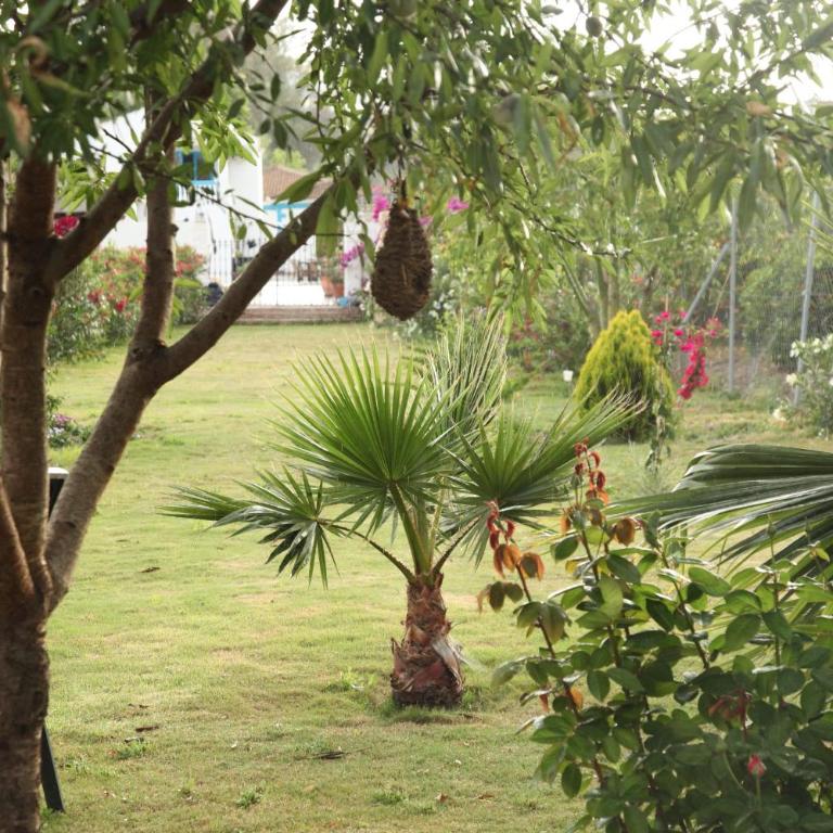 The Dragonfly Retreat - Villa Deluxe - 29