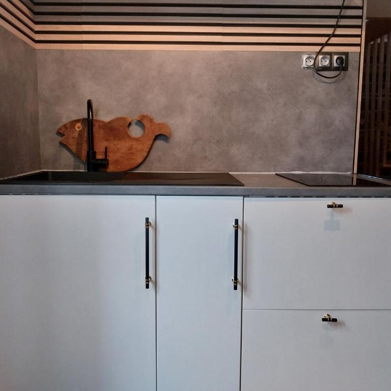 T1 Duplex avec filet detente - Appartement 1 Chambre - 5
