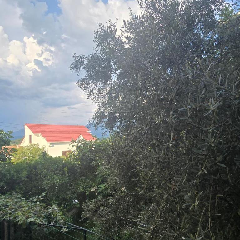 Krtole Lustica Bay - Two-Bedroom Apartment - 24