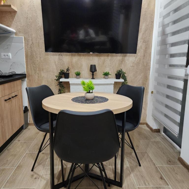 Studio Planinski san Divčibare - Apartman sa 1 Spavaćom Sobom - 20