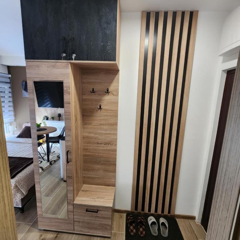 Studio Planinski san Divčibare - Apartman sa 1 Spavaćom Sobom - 18