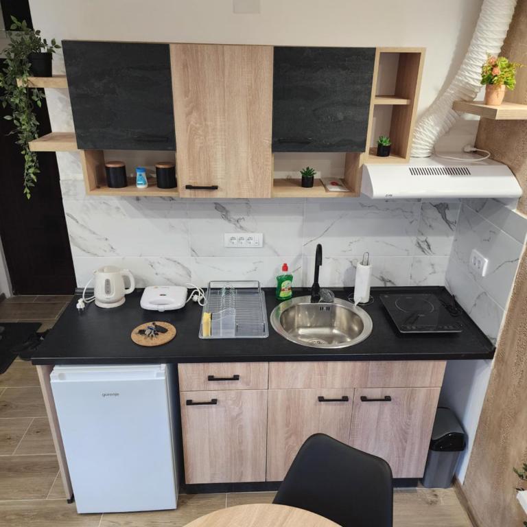 Studio Planinski san Divčibare - Apartman sa 1 Spavaćom Sobom - 27