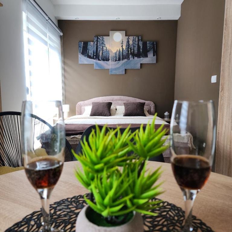 Studio Planinski san Divčibare - Apartman sa 1 Spavaćom Sobom - 36