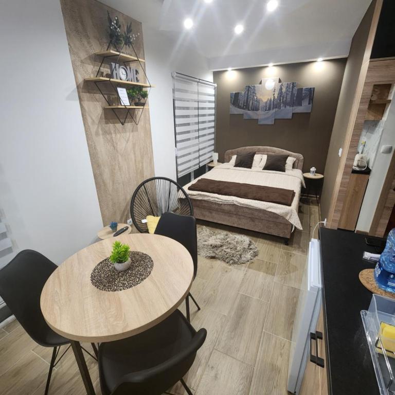 Studio Planinski san Divčibare - Apartman sa 1 Spavaćom Sobom - 35