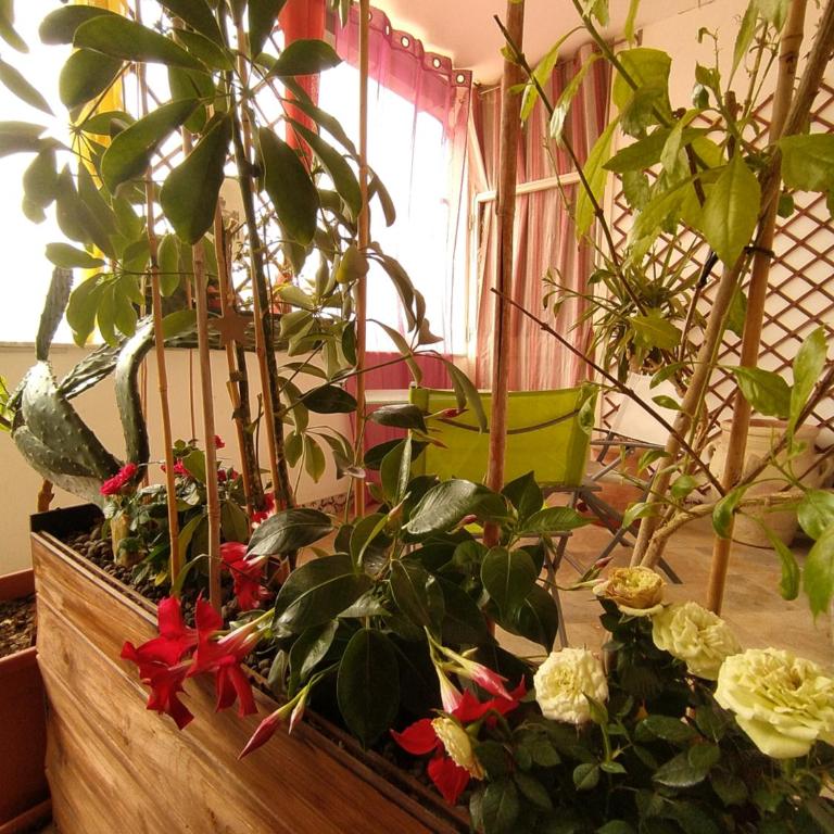 B&b Ballarattik - Double Room with Private Bathroom - 19