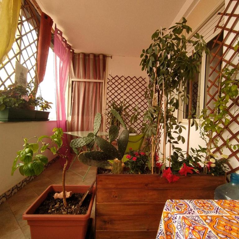 B&b Ballarattik - Double Room with Private Bathroom - 20