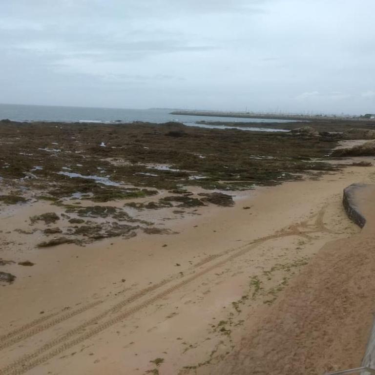 Apt T3, 2ch, tout à pied, 50m plage, Pointe du Bec - Apartment mit 2 Schlafzimmern - 24