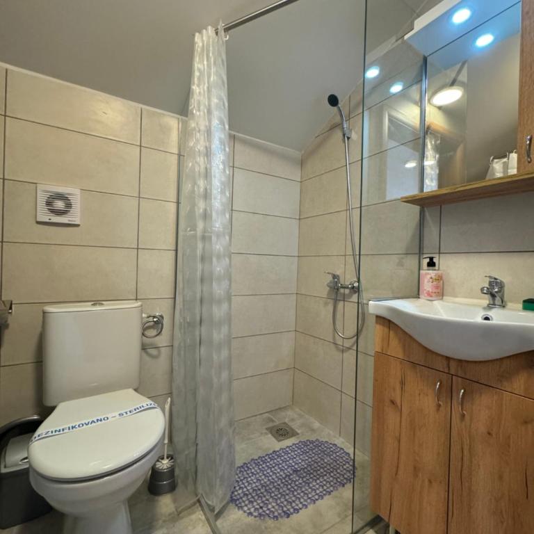 Vas Dom NA - Apartman sa 1 Spavaćom Sobom - 4