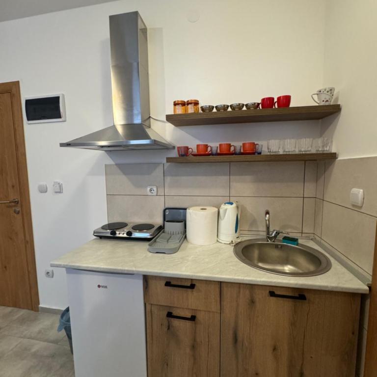 Vas Dom NA - Apartman sa 1 Spavaćom Sobom - 4