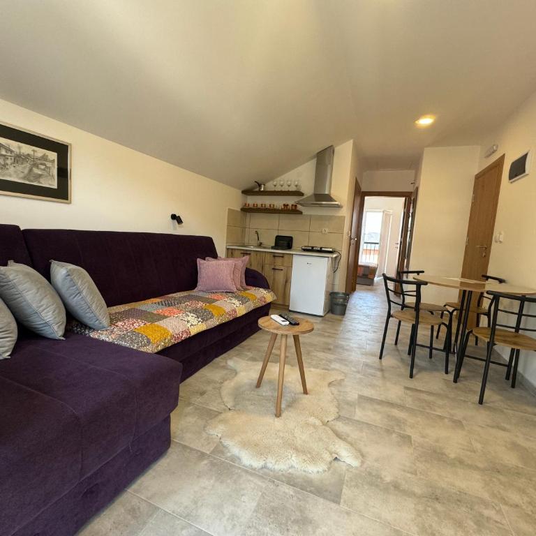 Vas Dom NA - Apartman sa 1 Spavaćom Sobom - 6