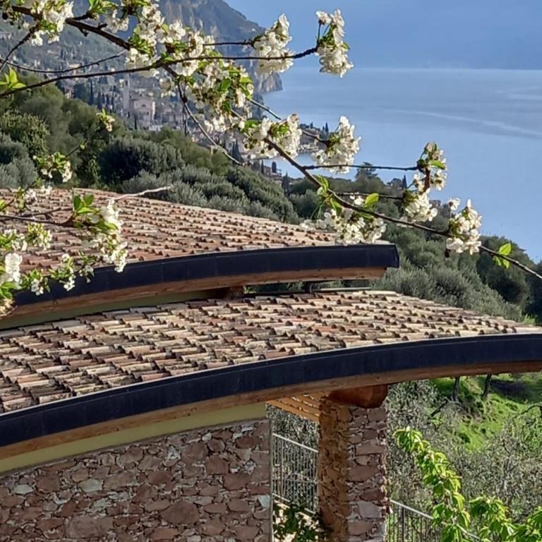 Casa del Codirosso - Casa con 3 Camere da Letto - 30