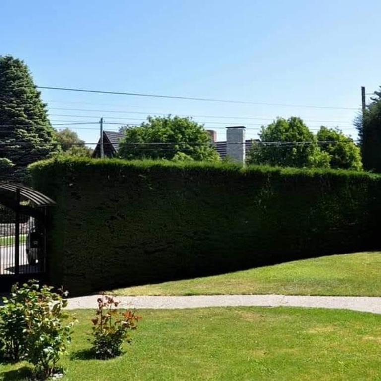 Habibi Saint Moritz - One-Bedroom Apartment - 11