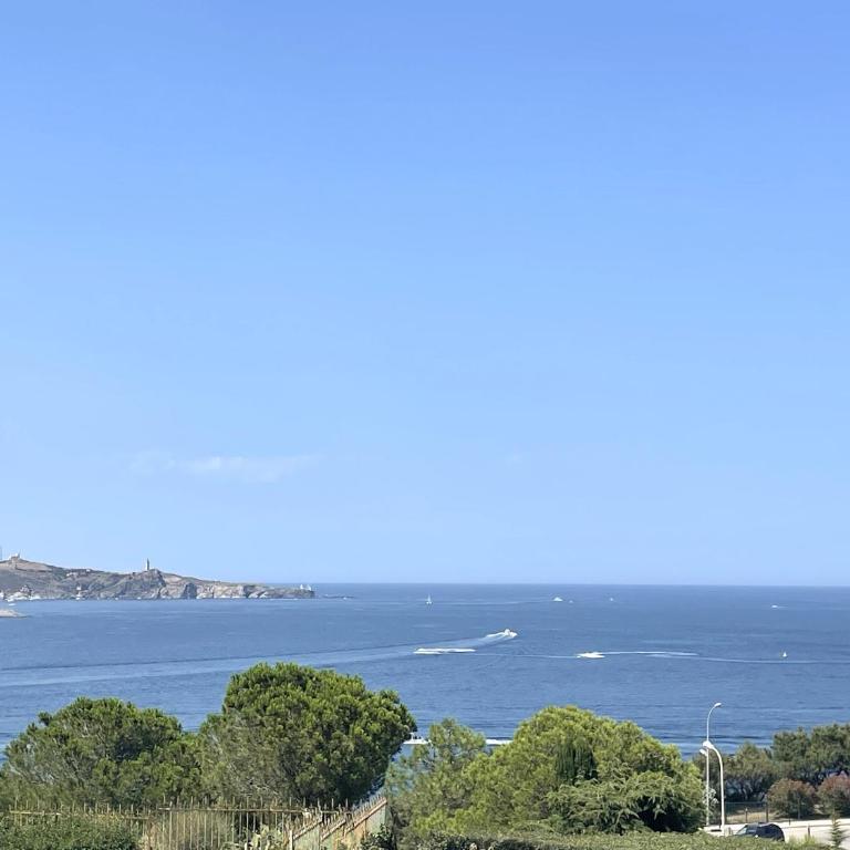 Appartement T3 à Banyuls-sur-Mer, terrasse et parking privé - FR-1-309-209 - Apartamento de 2 dormitorios - 1