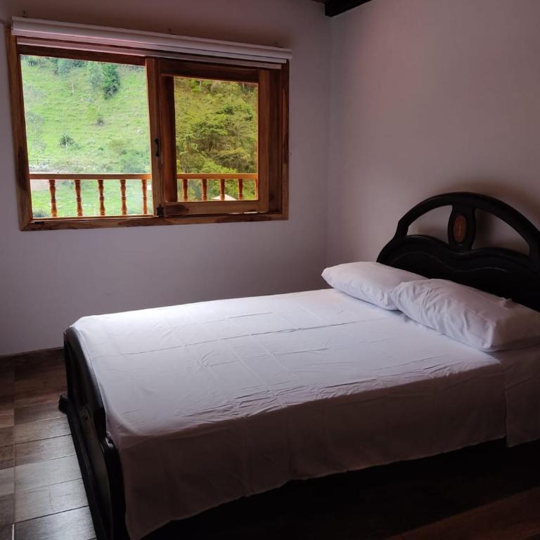 Casa El Cedral Hospedaje - Apartamento de 2 dormitorios - 6