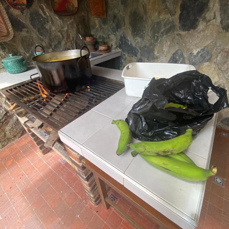 Finca El Remanso La Vega - Casa de 4 dormitorios - 65