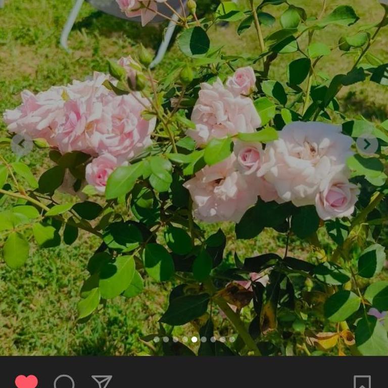 ꕤ Comfy Home ꕤ - Make yourself at home - Vila sa 1 Spavaćom Sobom - 24