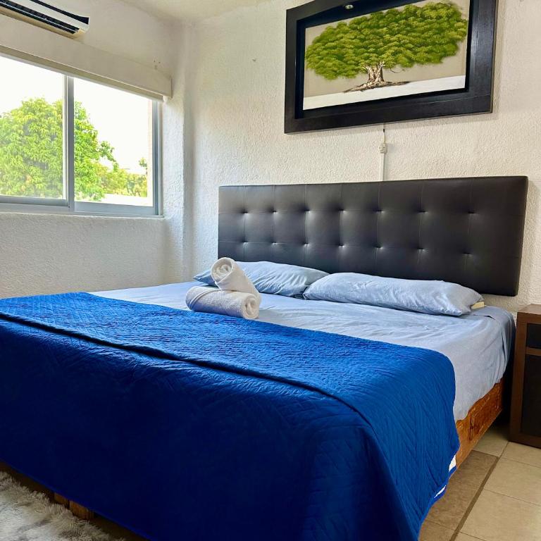 Departamento en Pb frente a la alberca - Apartamento de 2 dormitorios - 3