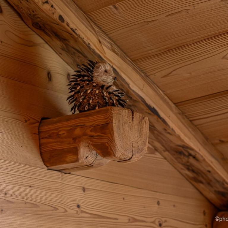 Chalet la Forestière - Appartement 3 Chambres - 4