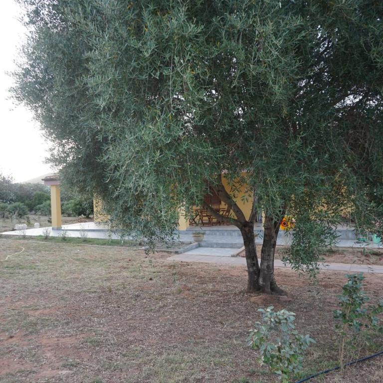 Bombarde Natural House - Two-Bedroom Apartment - 37