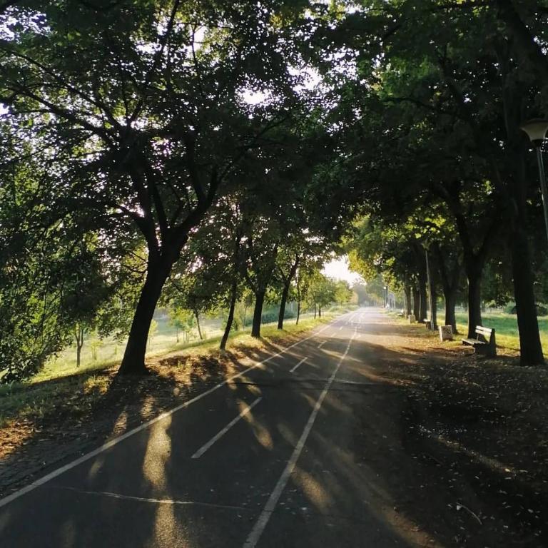 Mojo Dojo - Apartman sa 1 Spavaćom Sobom - 3