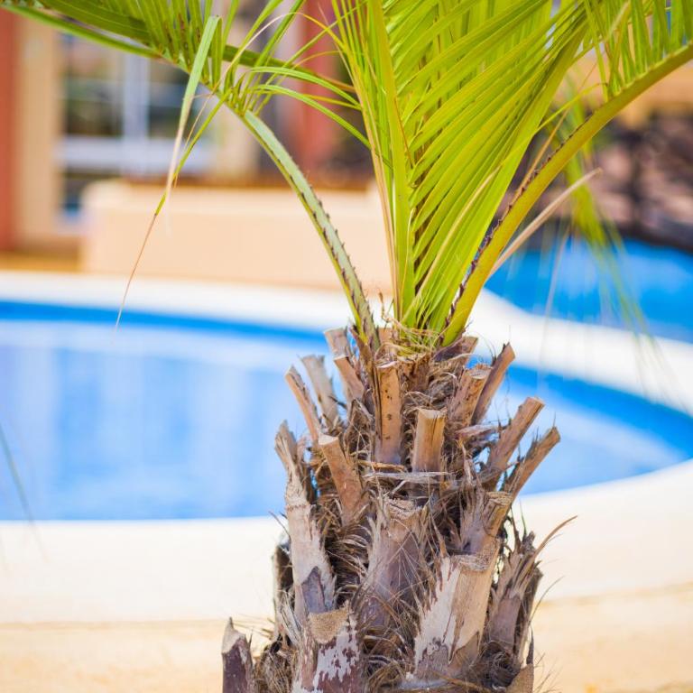 Apartamento Turistico VerdeMar 2 - Apartamento de 2 dormitorios - 33