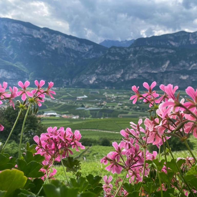 Agritur Chalet Belvedere - Apartment mit 3 Schlafzimmern - 23