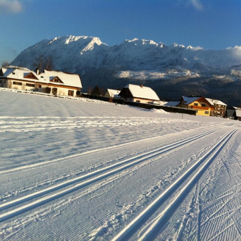 Ferienwohnung Wildrose - Apartment mit Blick auf die Berge - 50