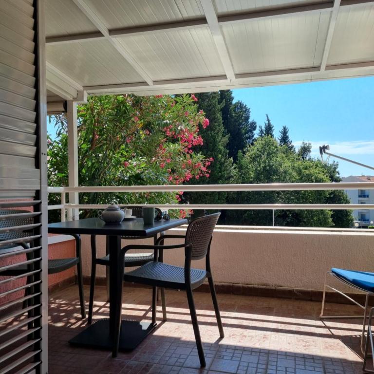 Petrovac modern apartment - Family Studio - 1