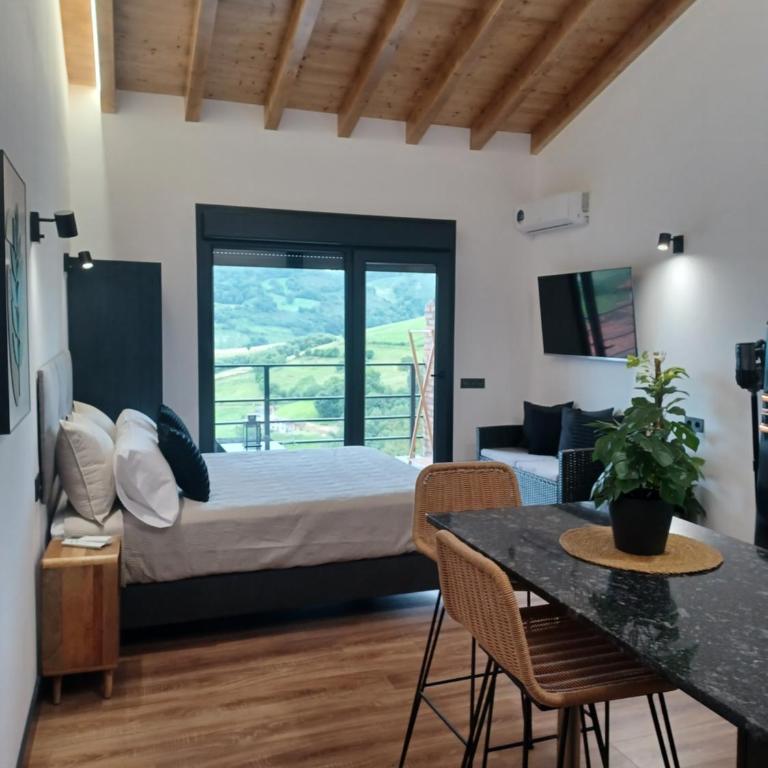 Apartamentos El Llanin - Estudio con terraza - 2